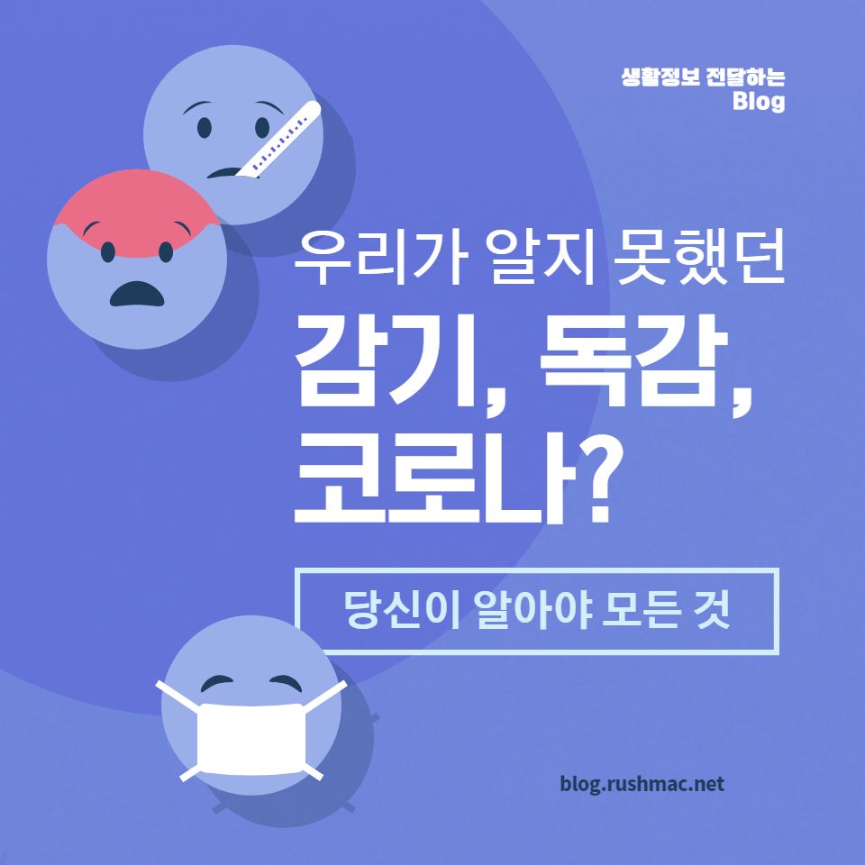 감기, 독감, 코로나? 당신이 알아야 할 모든 것