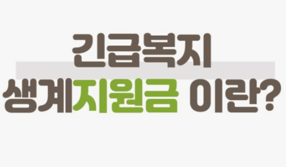 긴급 생계지원금