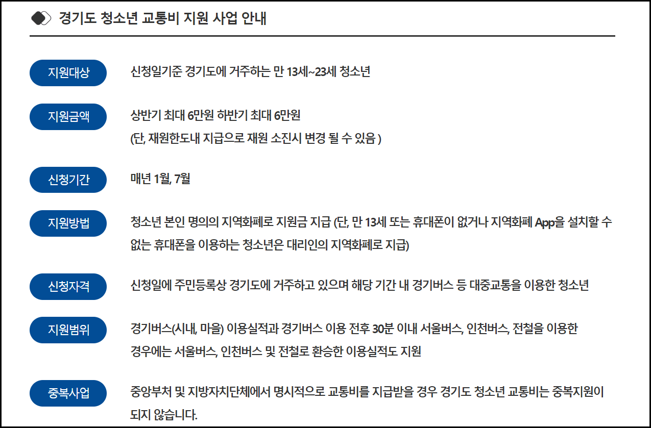 청소년 교통비 지원금