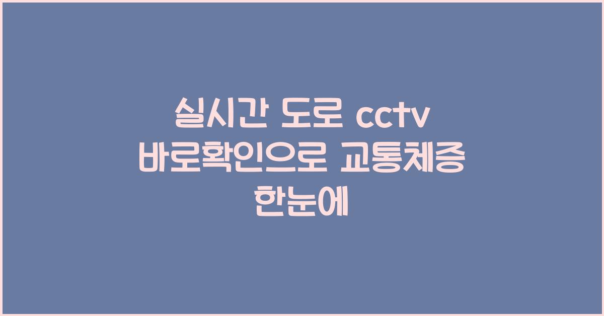 실시간 도로 cctv 바로확인