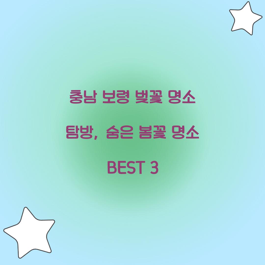 충남 보령 벚꽃 명소