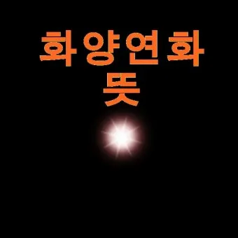 화양연화 의미 해석 한자 뜻 문화적 배경 정리_6