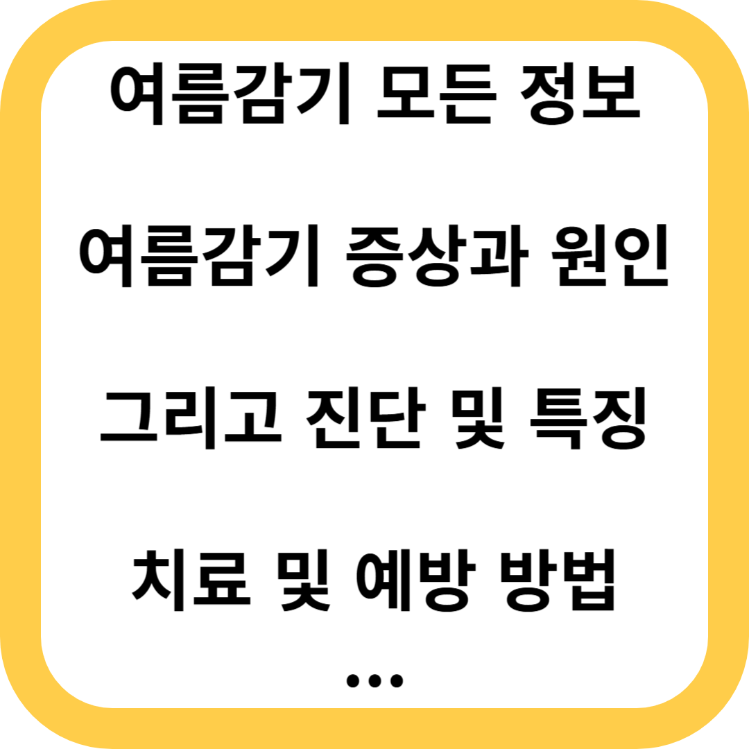 여름감기