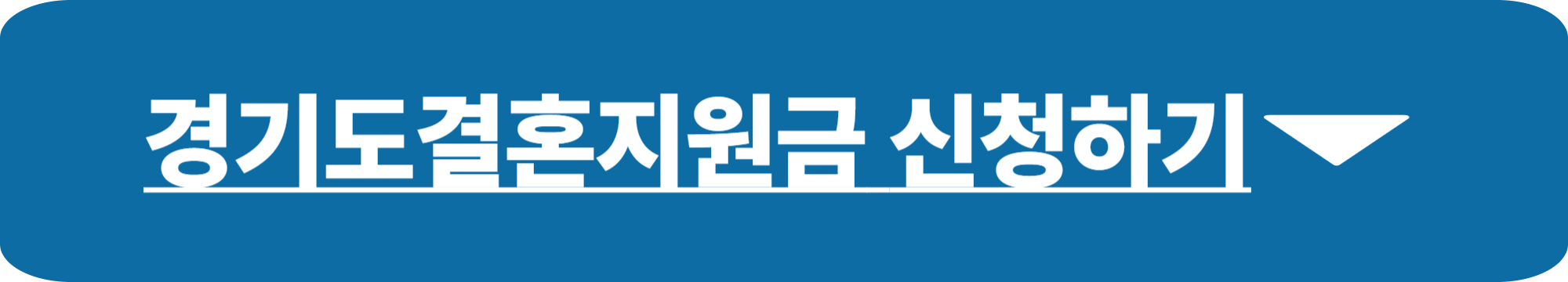 경기도결혼지원금