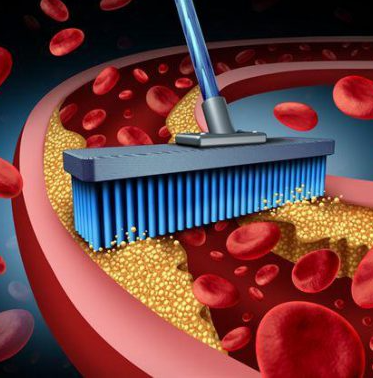60대 이상 필독 혈관 건강 지키는 5가지 습관