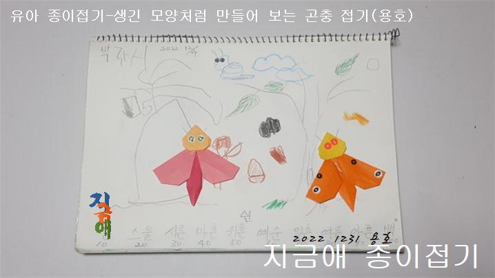 나비와 나방의 생긴 모양과 색에 대하여 이야기하며 모양을 만들어 봅니다.