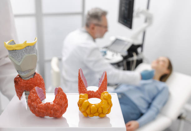 갑상선 기능 항진증의 주요증상을 설명하는 이미지