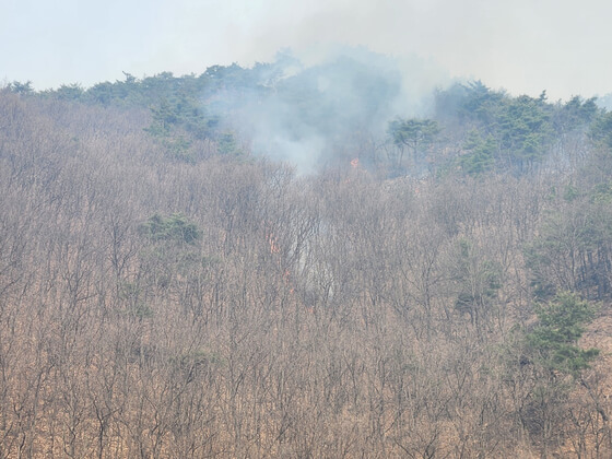  경북 의성 산불 닷새째&hellip;사망자 15명&amp;#44; 피해 지역&middot;원인 총정리