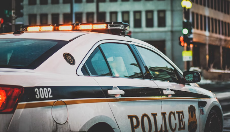 사이코패스 테스트