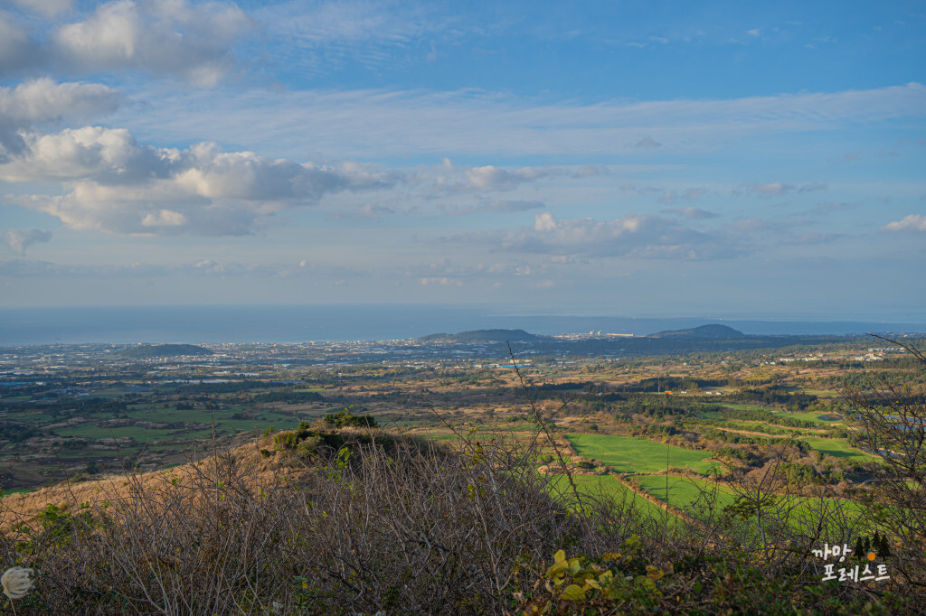 제주 새별오름 풍경