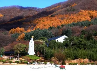 천진암 흰민들레 백양자연관찰로 괭이눈 개화_3