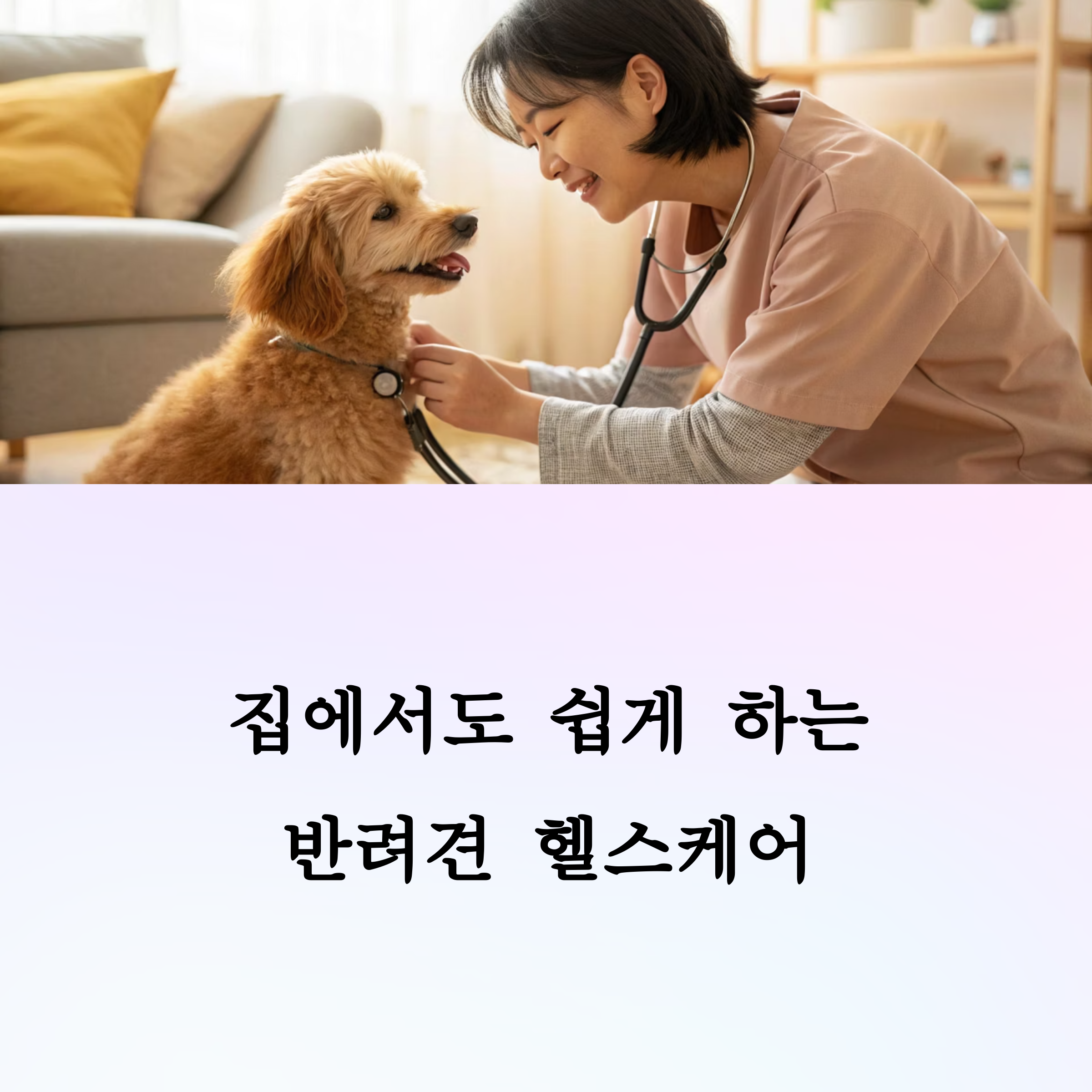 반려견 헬스케어 아이템