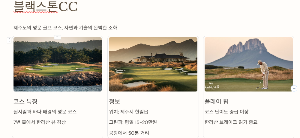 블랙스톤cc