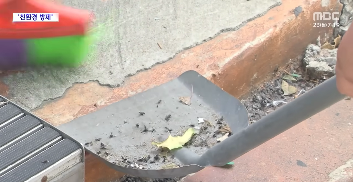 출처: [와글와글 플러스] 올해도 '러브버그' 출몰‥살충제 안 쓴다 (2025.06.23/뉴스투데이/MBC)