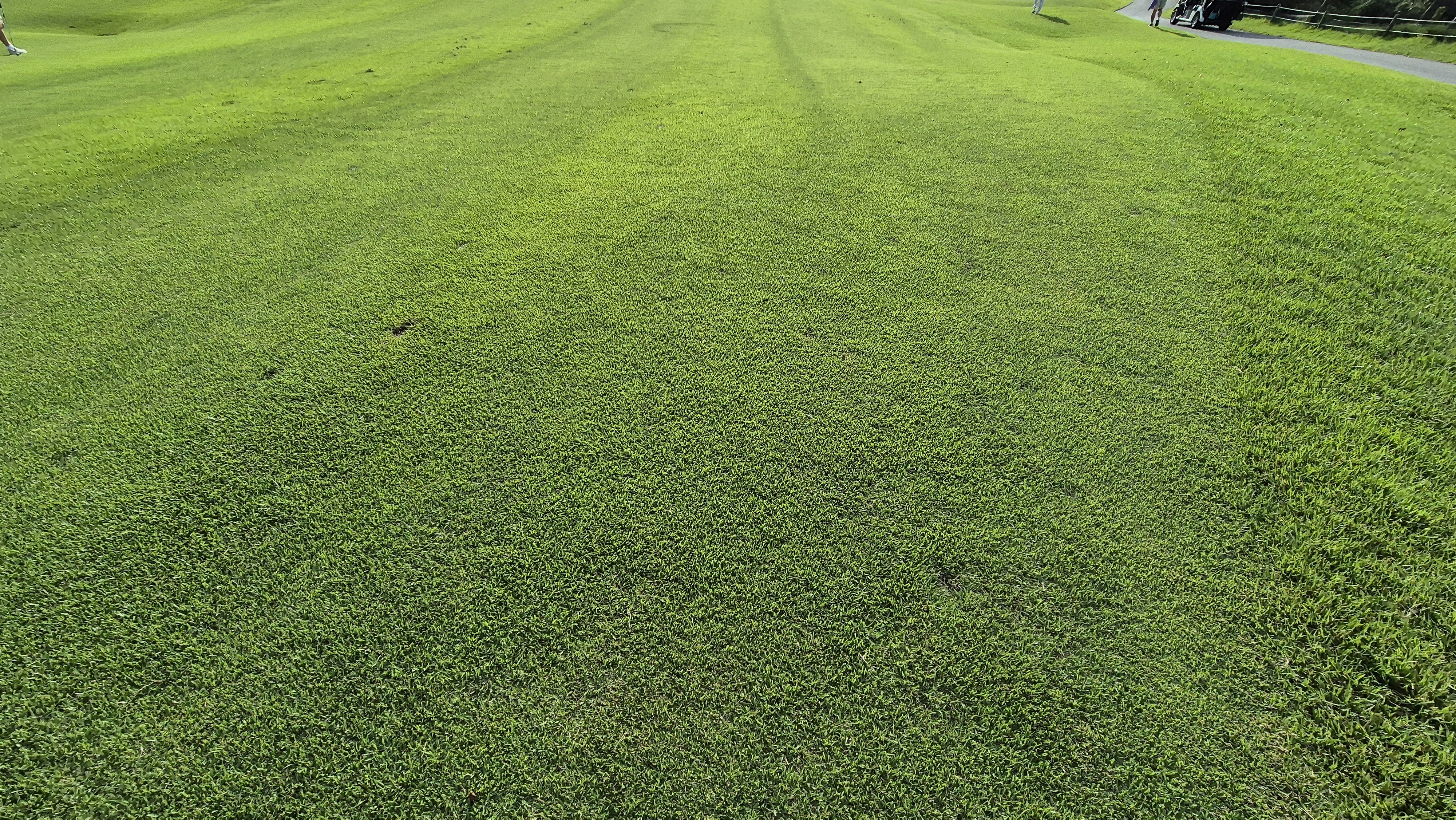 세일cc 들길-산길 코스 라운드 후기