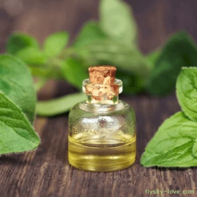 오레가노 (Oregano), 오레가노 오일