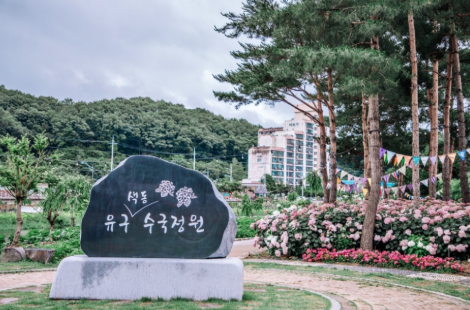 유구색동수국정원 꽃축제