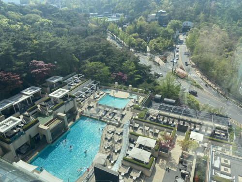 서울 신라호텔 공홈 예약. 서울 호텔 호캉스 숙박 후기