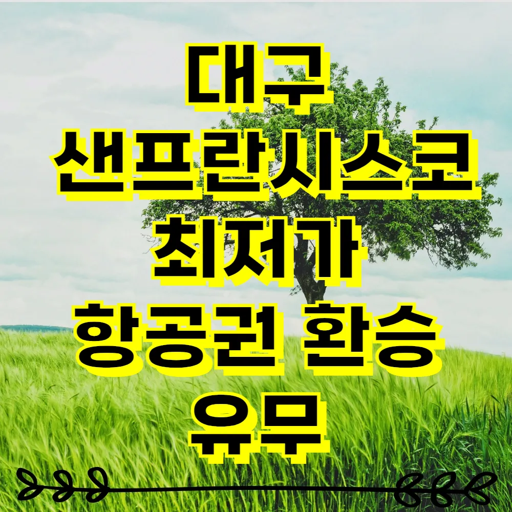 대구 샌프란시스코 최저가 항공권 환승 유무