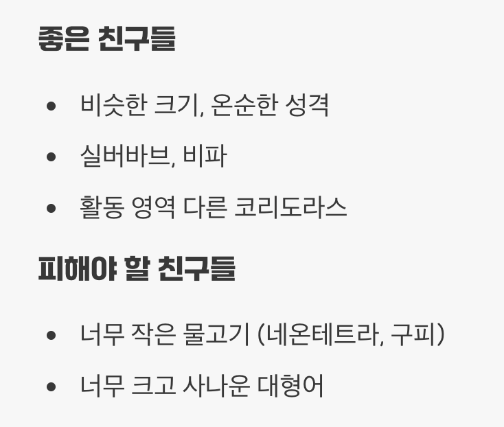 합사 - '순둥이' 친구들과 함께라면 OK