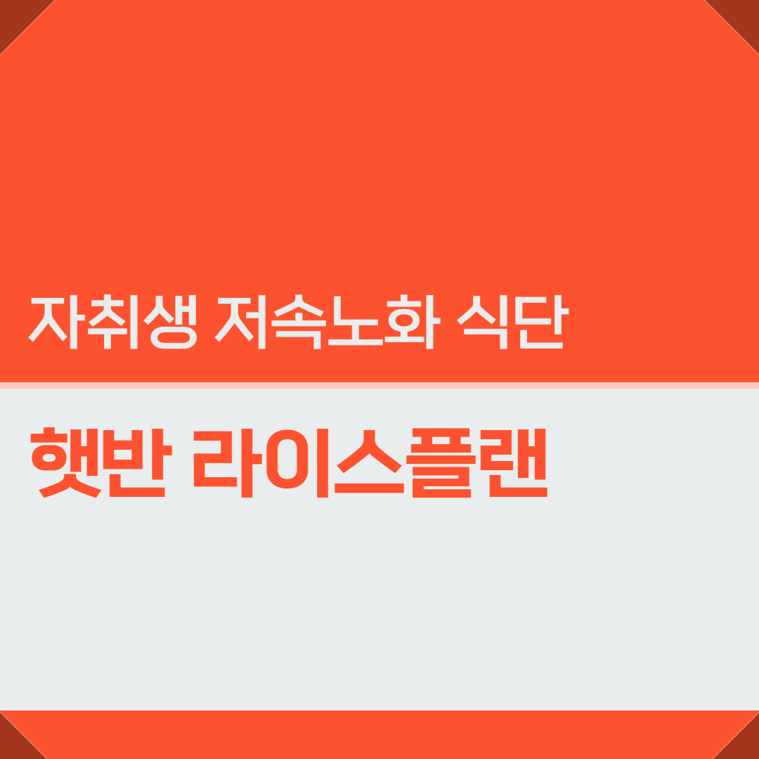 자취생 정희원교수 저속노화 식단 레시피 햇반 라이스플랜 실제후기