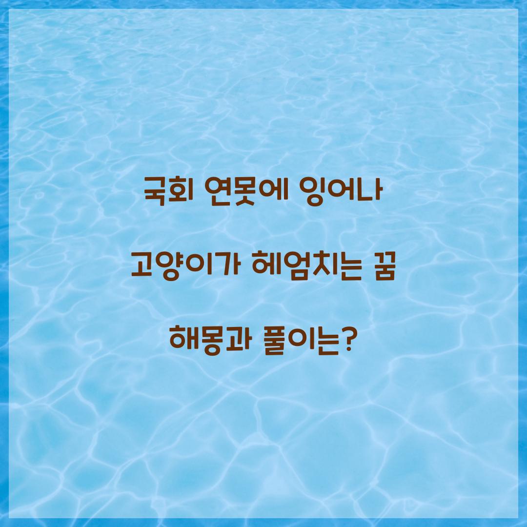 국회 연못에 잉어나 고양이가 헤엄치는 꿈 풀이 해몽 해석