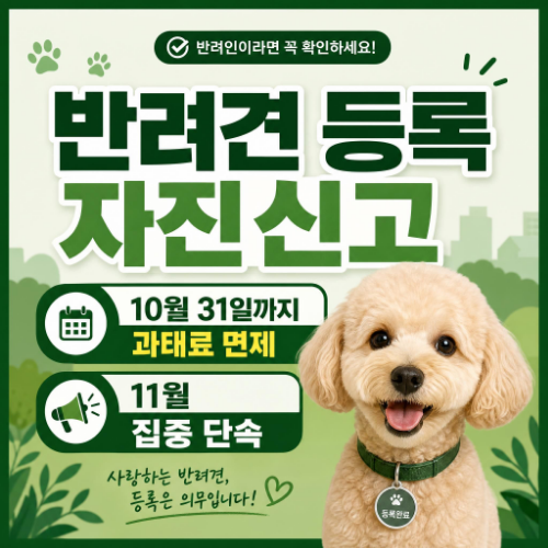 반려견 동물등록 자진신고 10월 31일까지 과태료 면제 미등록 최대 100만원 변경신고 최대 50만원 11월 집중 단속