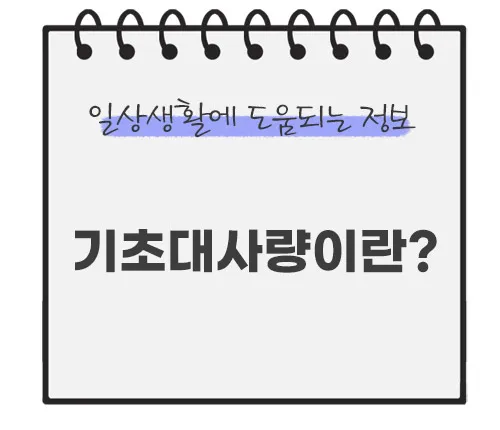 기초대사량