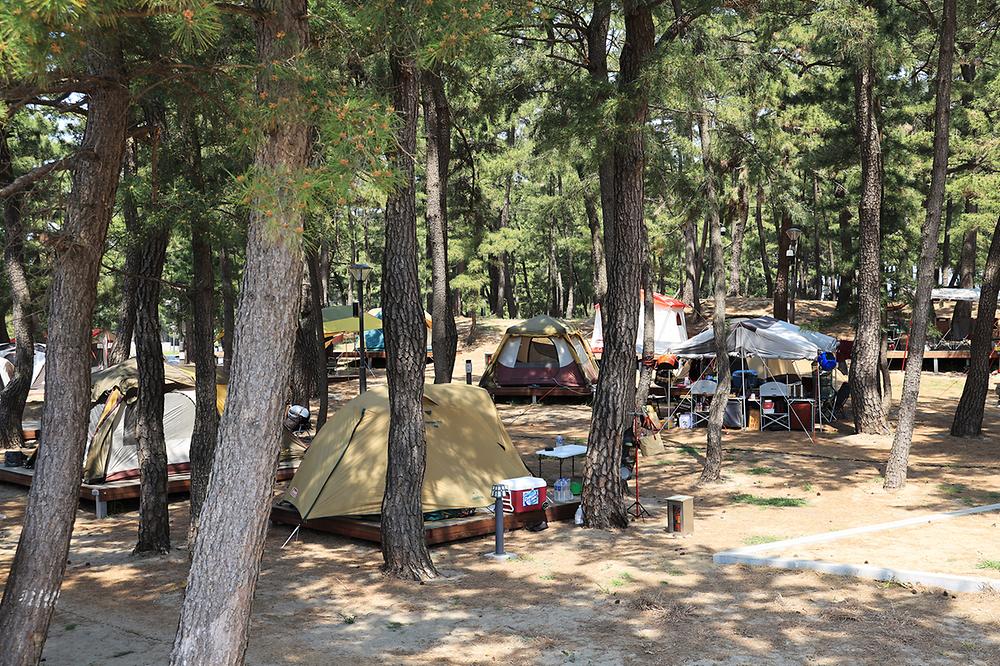 강원도 삼척 맹방비치캠핑장 소개