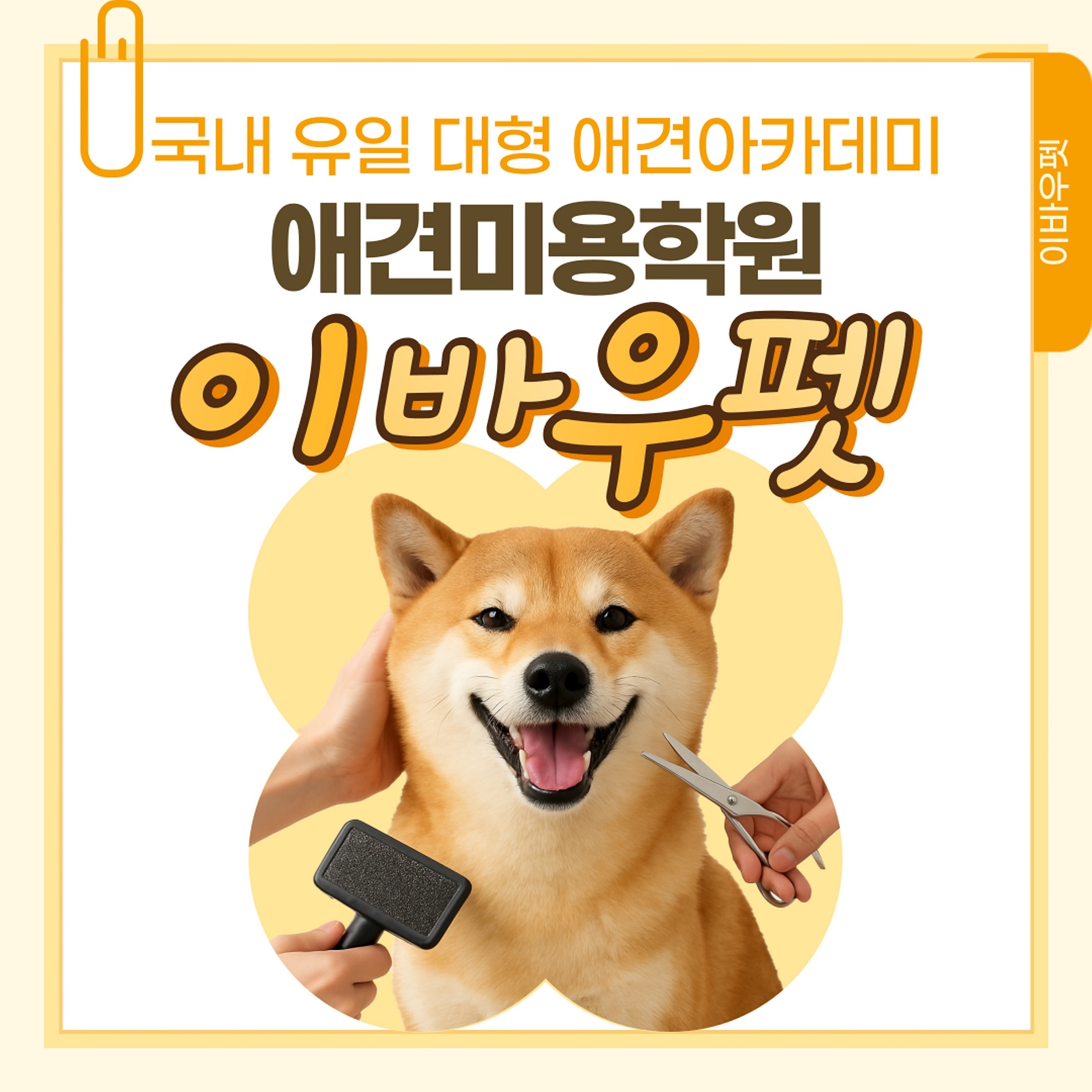 애견미용학원국비지원