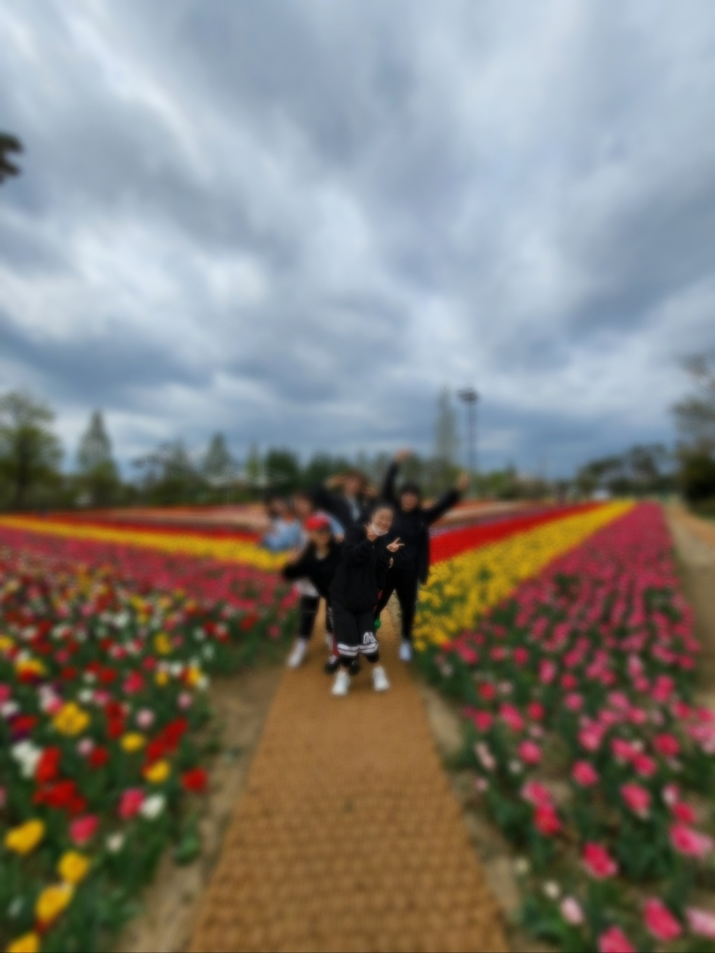 청주 튤립(문암생태공원)