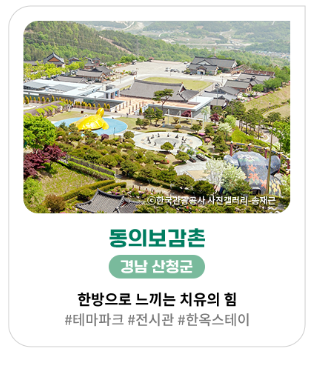 가을&amp;#44; 가을꽃 여행지 추천