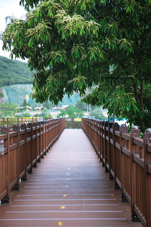 단양 가볼만한곳