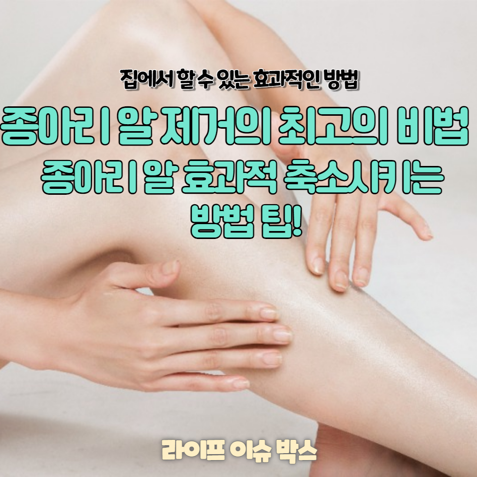 종아리알빼는법을 찾고 계신가요?