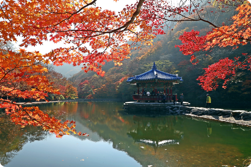내장산국립공원(우화정) 이미지/출처: 정읍시 문화관광 
 내장산국립공원(우화정) 이미지/출처: 정읍시 문화관광