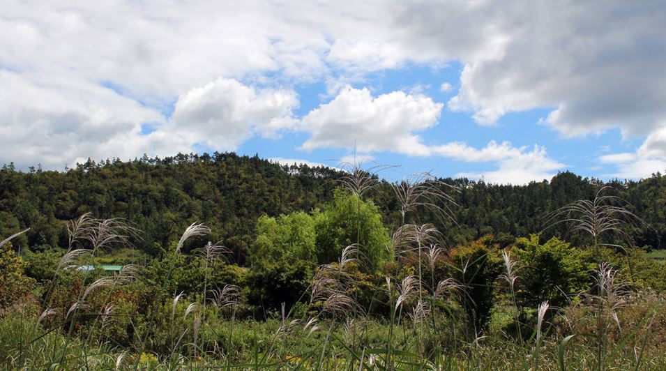보성 가볼만한곳 베스트10