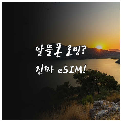 알뜰폰 해외 로밍 대신 eSIM 사용..