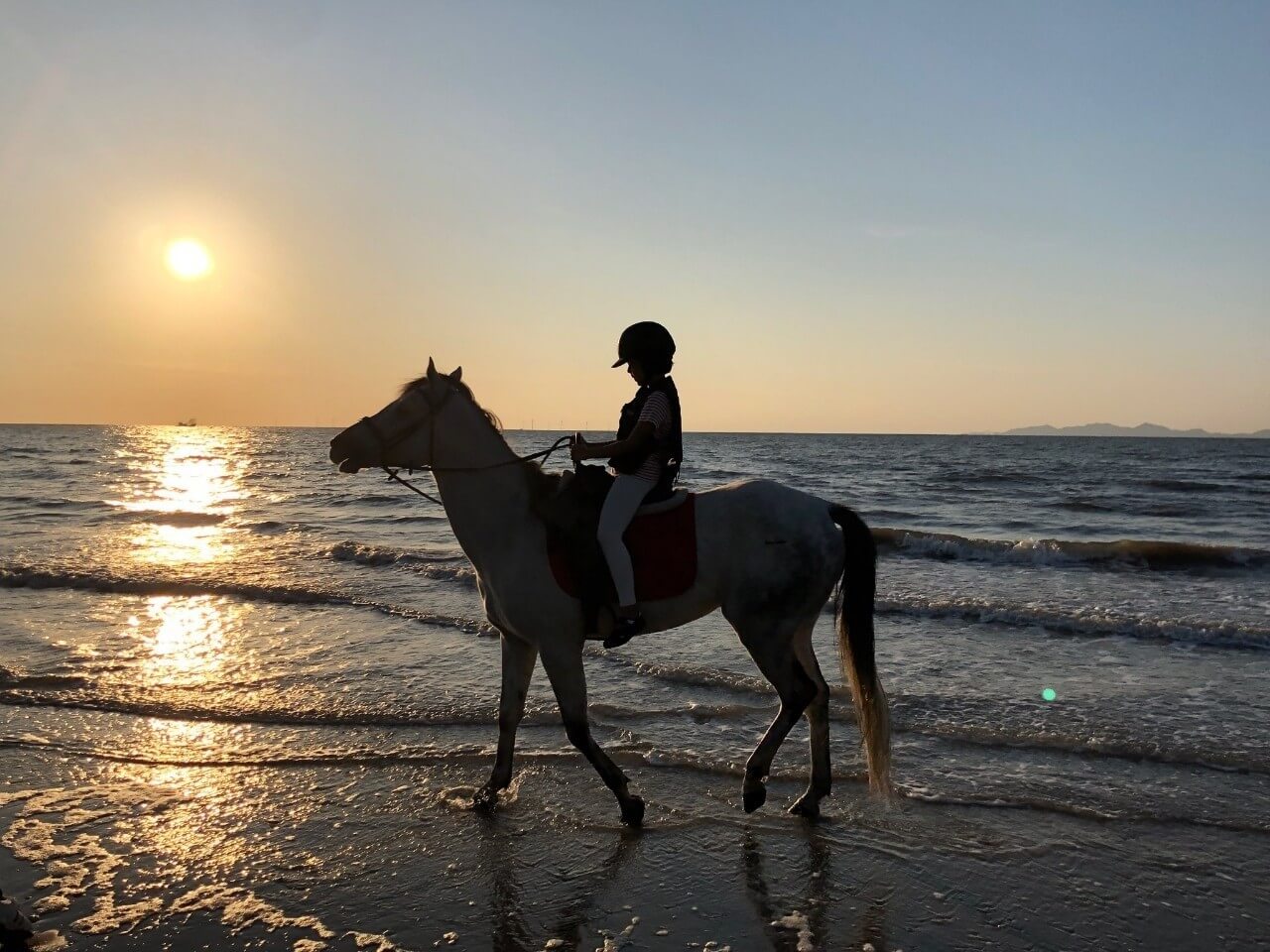 생생정보 2309회 장PD의 AI 여행기 고창 여행일정 총정리, 고창청농원, 해변승마클럽 취게팜, 두암초당, 본가 백합한상