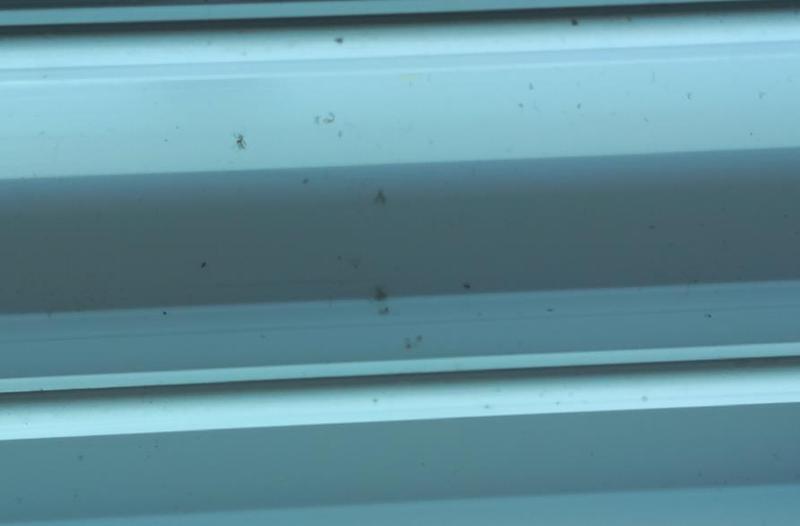 신축 단지에서 무슨 일이?