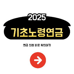기초노령연금
