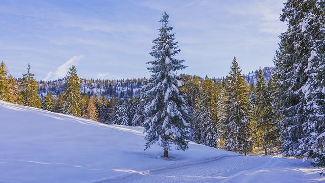 항문 간지러움 이유