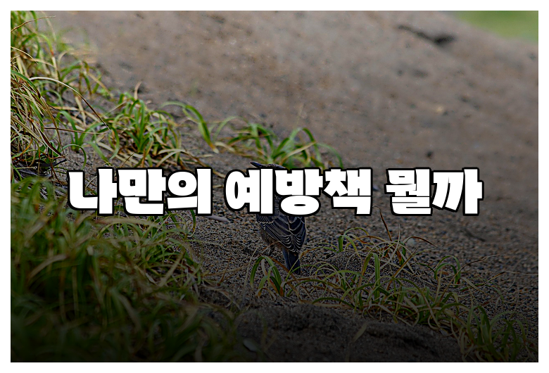 나만의 예방책 뭘까