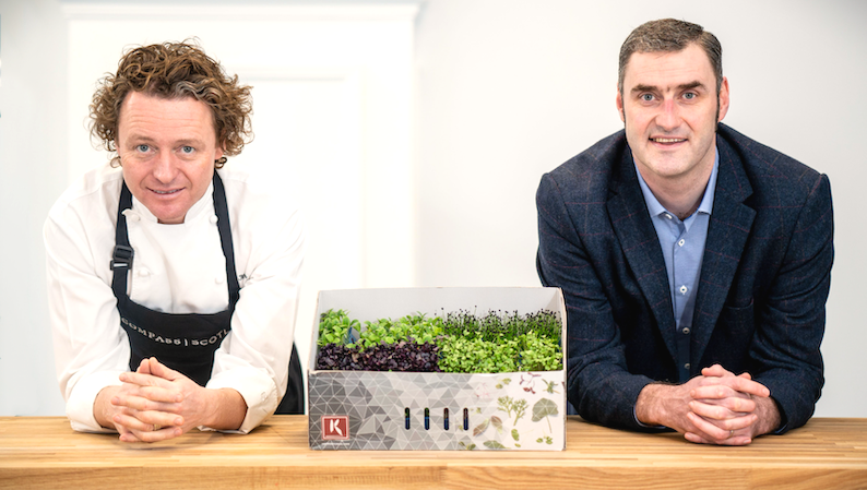 동업은 어떨까요?