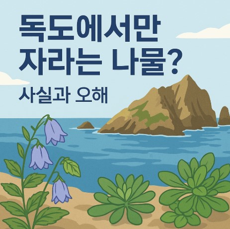 독도에서만 자라는 나물? 사실과 오해｜독도 자생&middot;귀화 식물, 식용 가능성, 보전 사진