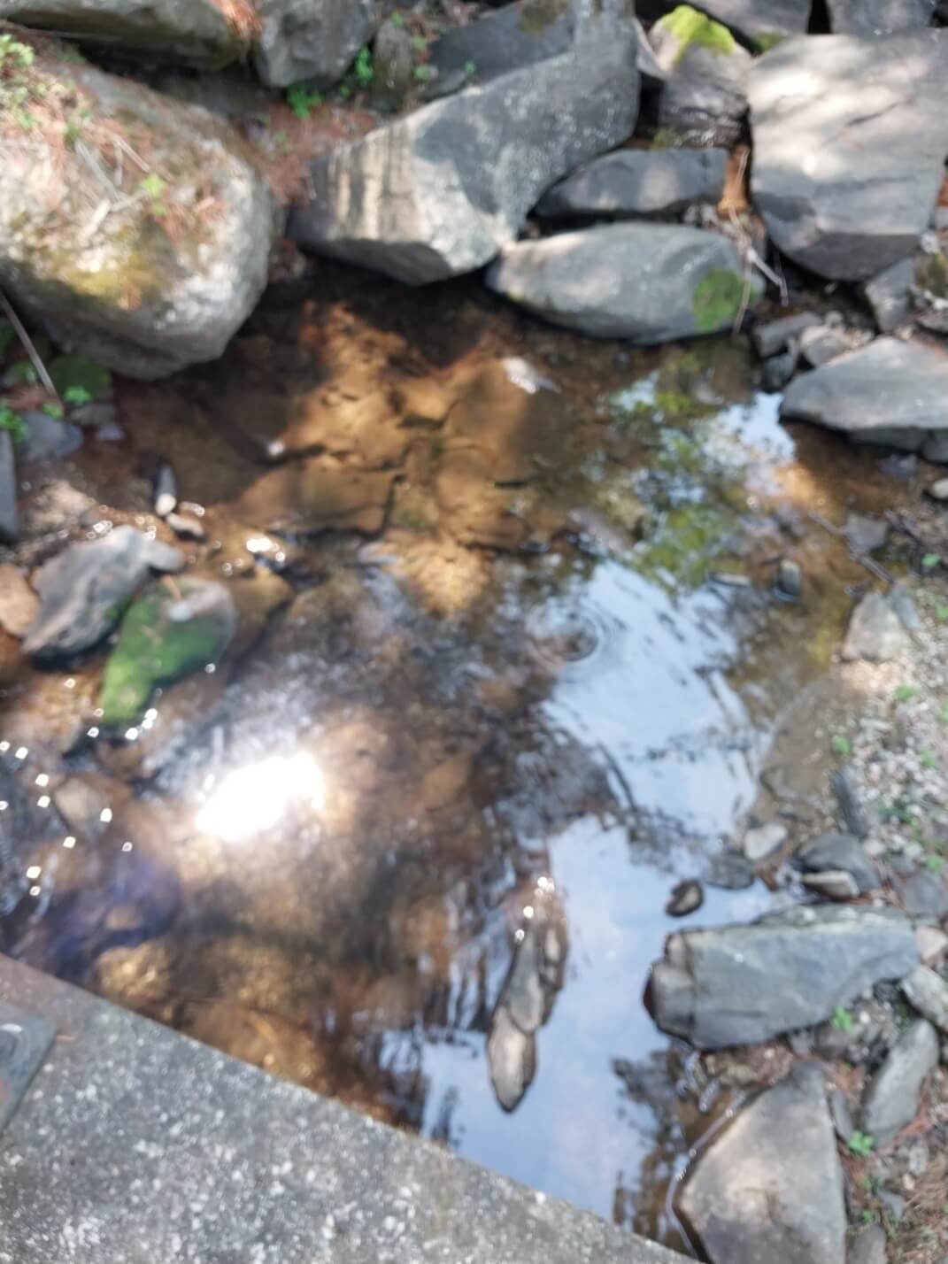 다양한 체험활동이 가능한 '잣향기푸른숲'