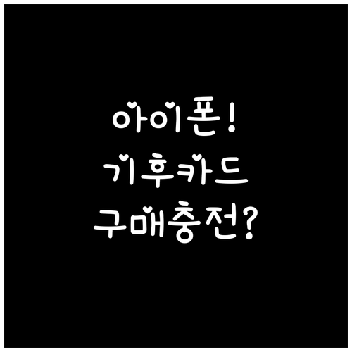 아이폰 기후동행카드 실물카드 구매부터..