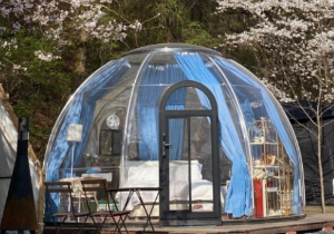 투명 돔 캠핑장