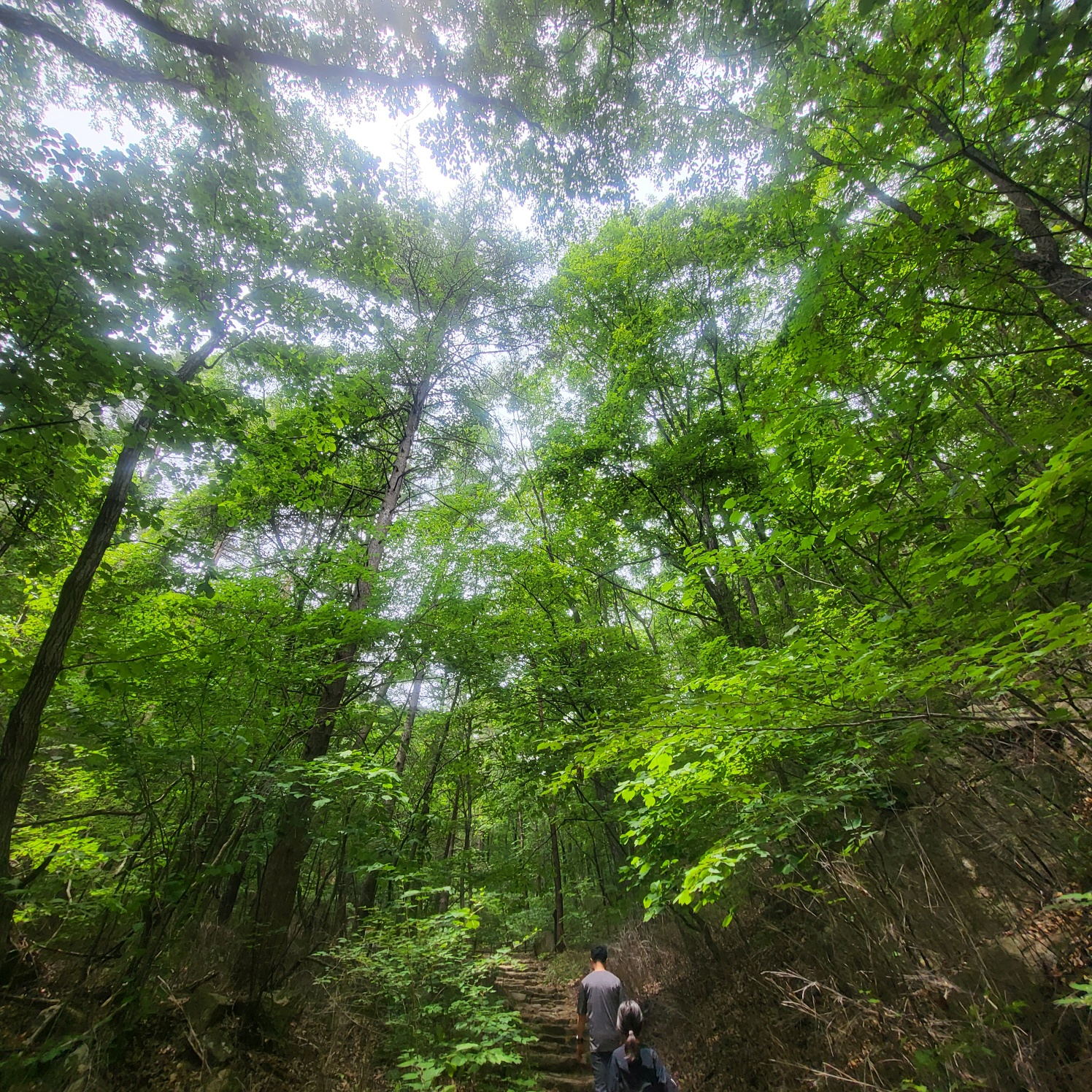 속리산 문장대(아이와 등산하기)