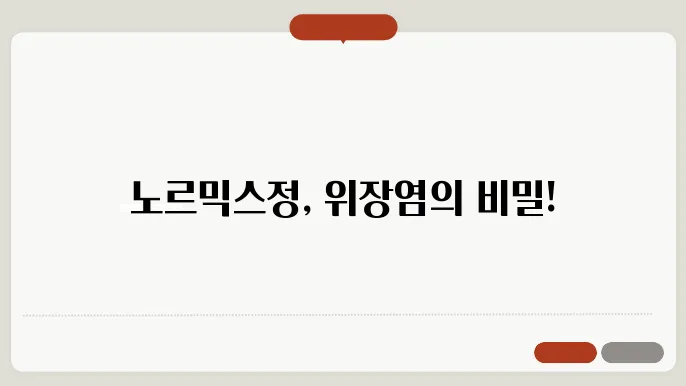 위장염 약 노르믹스정 효능
