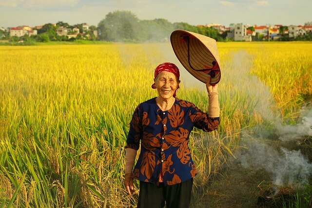 2026 농어촌 기본소득 총정리 지급대상 지급금액 추진현황 한눈에 확인